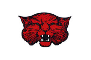 Bearcat Football Season Ticket Renewals Now Open